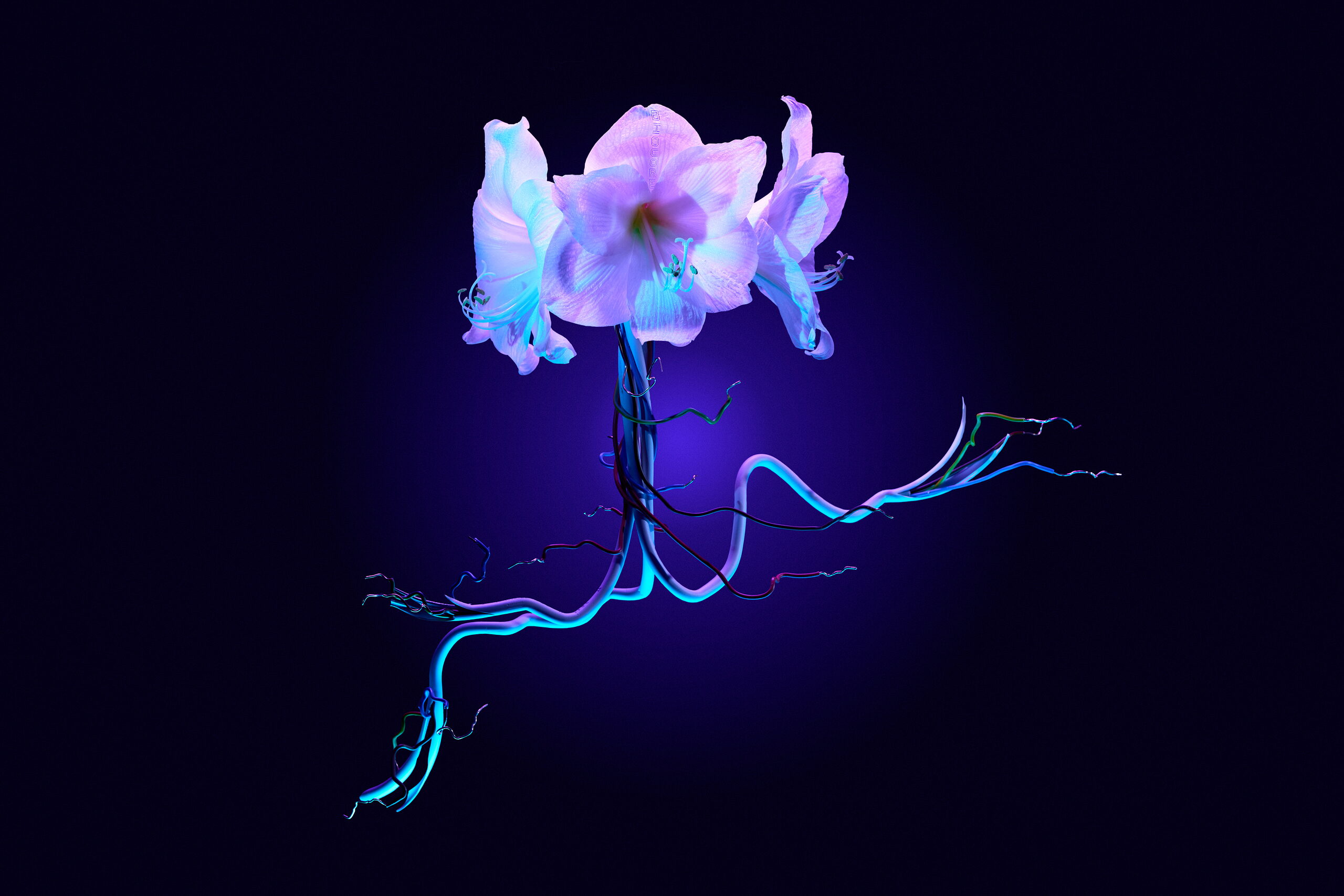 Cyber Flower